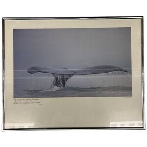 Framed Whale Tail Art Print Ted Sherman Photographer Tom Bean Quote 19 x 15